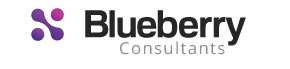 Blueberry Consultants